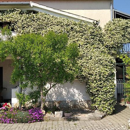 Apartment Sasa Bozac Poreč Dış mekan fotoğraf