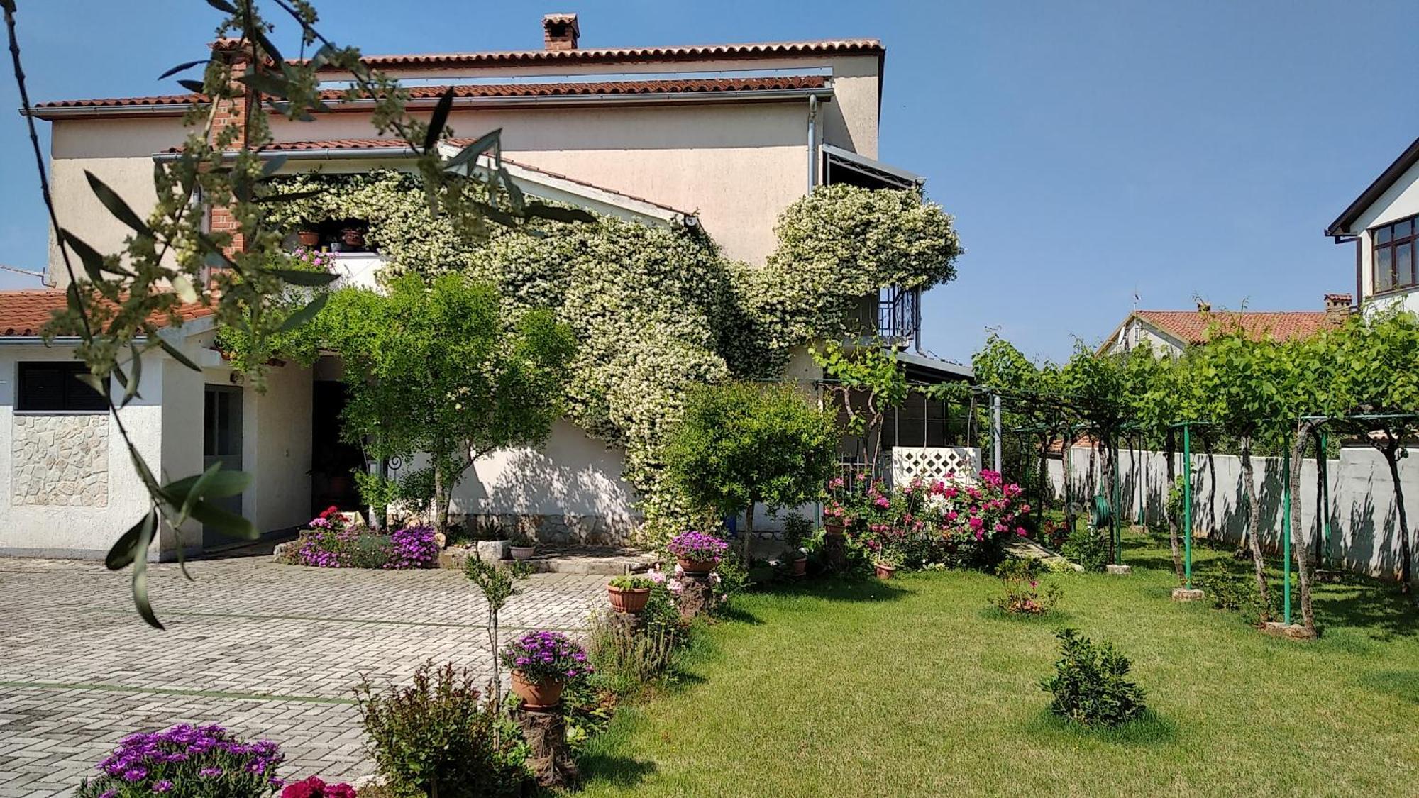Apartment Sasa Bozac Poreč Dış mekan fotoğraf